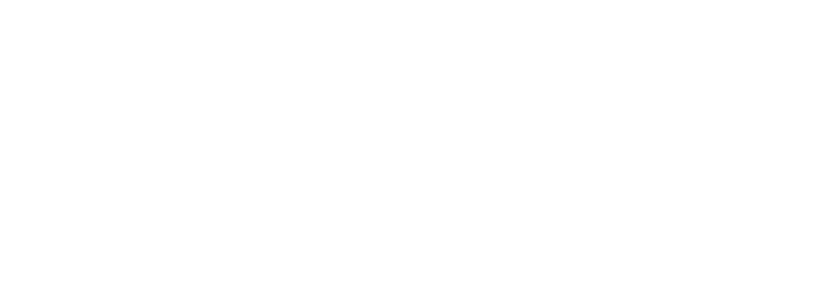 saol logo